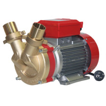 Pumpa Rover BEM 50