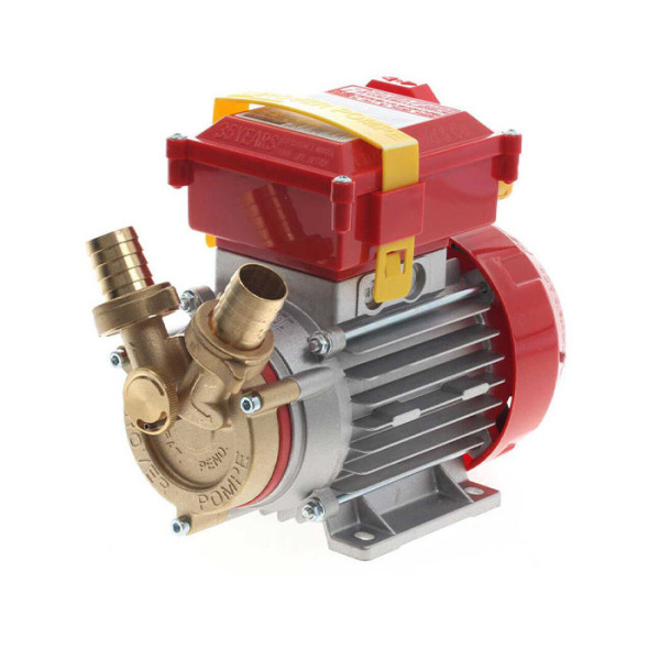 Pumpa za šretakanje Rover 25 ByPass